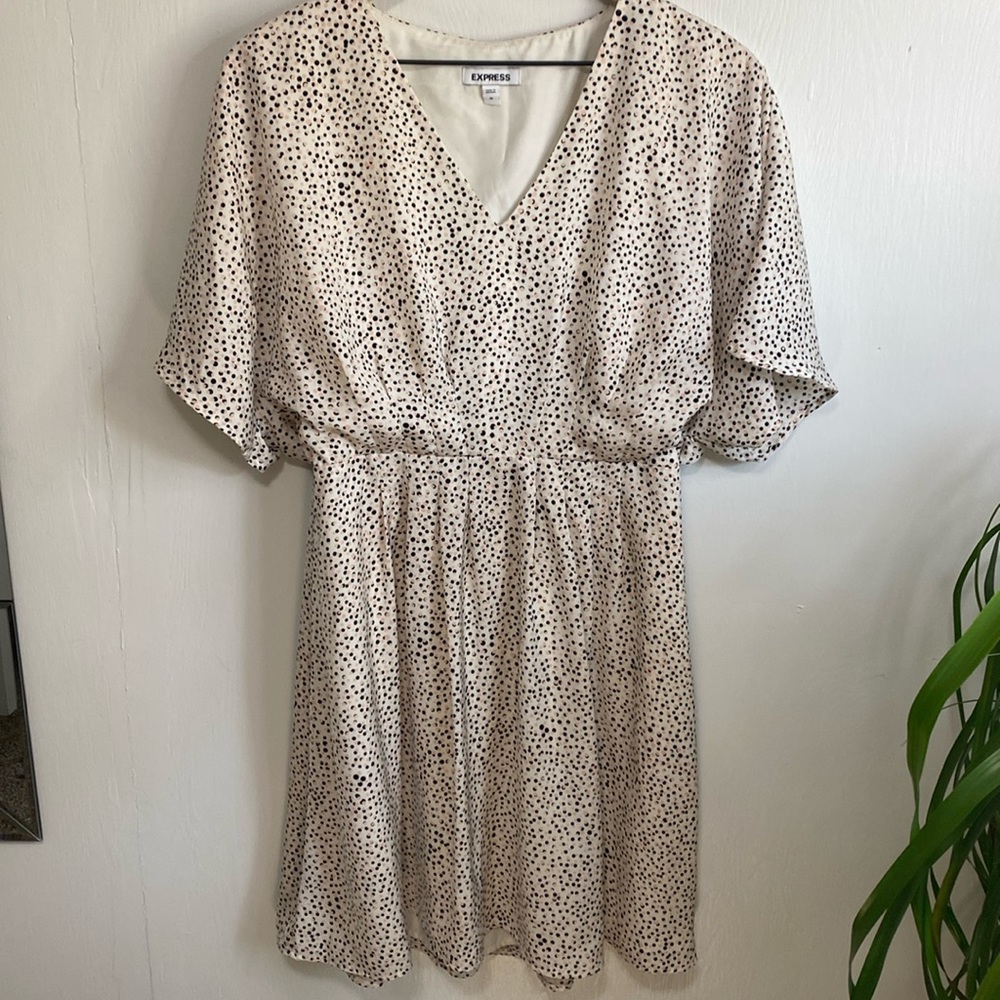 Express Polka Dot Dress